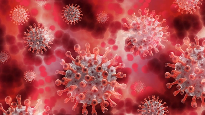Словенските власти регистрираха 108 нови случая на заразяване с коронавируса