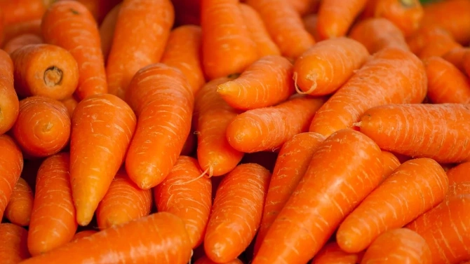 Близо 30 тона моркови бяха стоварени пред един от университетите