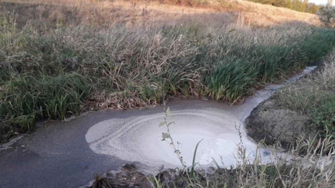 По брега на река Провадийска край Каспичан е открито бяло вещество 