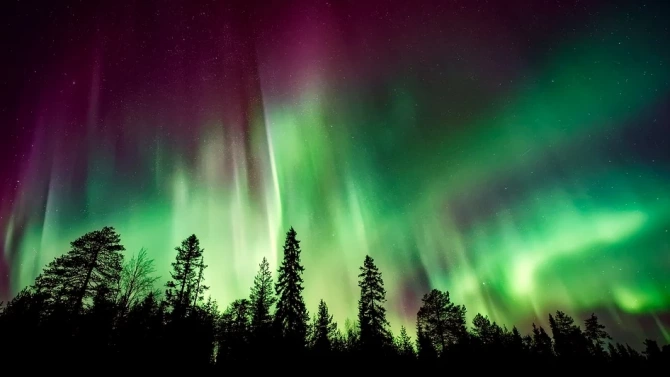 Северното сияние беше заснето над Лапландия Огромни ивици зелени и