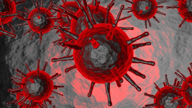4041 нови случая на коронавирус са регистрирани у нас през изминалите