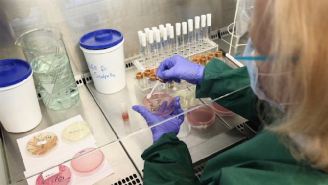 Броят на заразените с коронавирус в Полша надхвърли 700 000