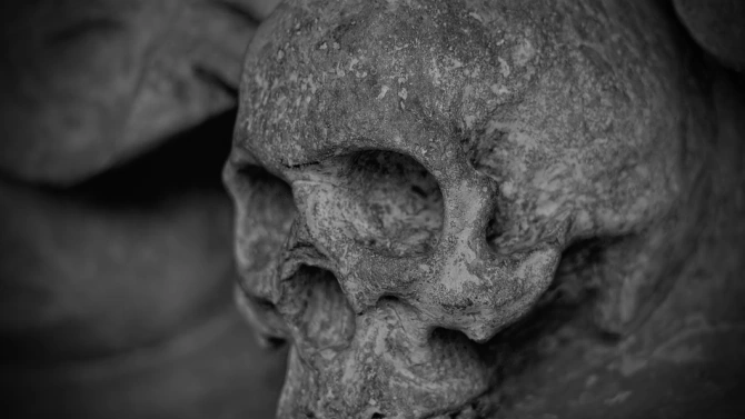Сигнал за открит човешки череп в землището на с Каменик