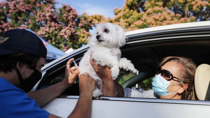 Испански изследователи установиха, че хората, които живеят с кучета, са