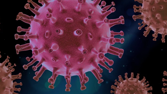  Вирусолог: Колективният имунитет няма да ни избави от разрастването на епидемията 