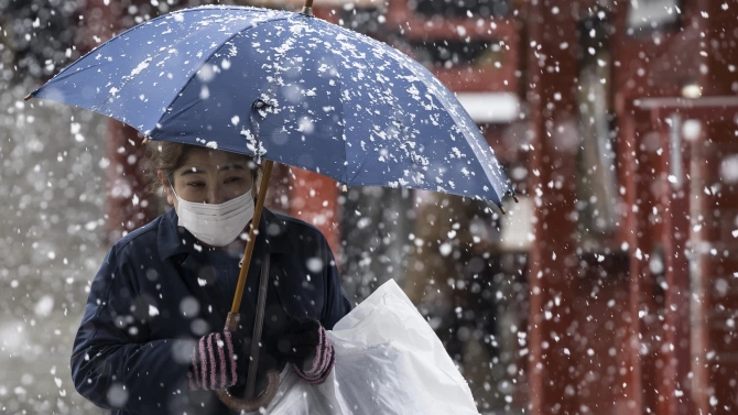 Зимни студове сковаха днес Япония прекъсвайки транспорта и предизвиквайки силен