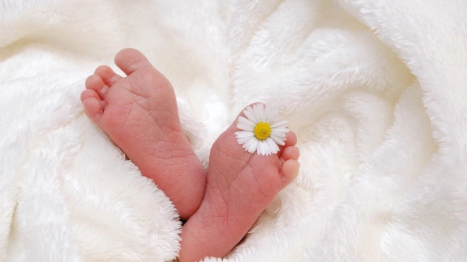 През миналата година в Разградската болница са проплакали 258 бебета