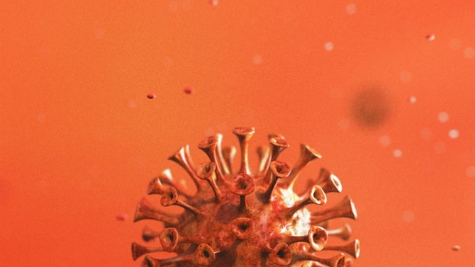  В-имунните кафези обезпечават до 6 месеца отбрана на прекаралите COVID-19 