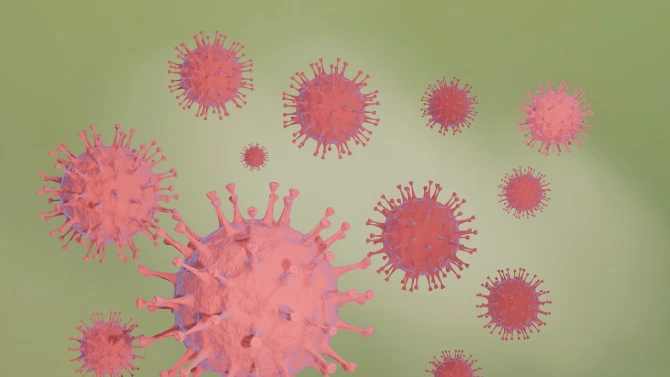 Само два са новите случаи на коронавирус в област Смолян