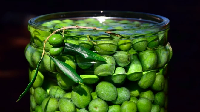 Израелски учени откриха доказателства че хората са започнали да ядат маслини