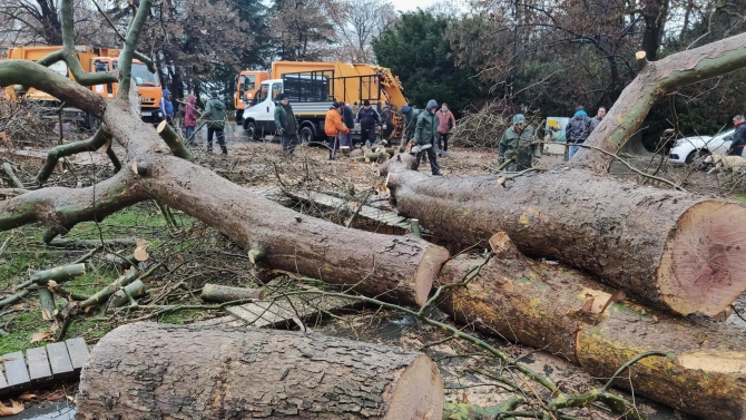 Мощна буря в Югоизточна България причини сериозни щети Ураганен вятър