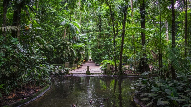 Правителството на Бразилия представи спорна програма за осиновяване на парк в опит