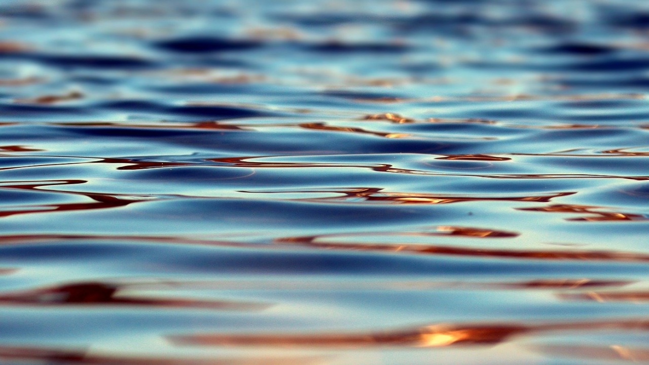 Най-малко деветима души се удавиха при инцидент с лодка в египетско езеро