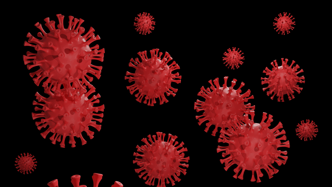 Смъртен случай от коронавирус във Видинско	