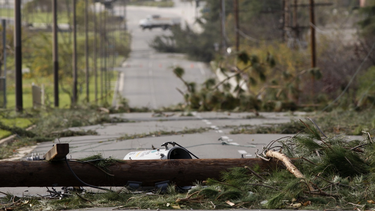 Силният вятър е скъсал електропроводи и повалил дървета в Разградско 