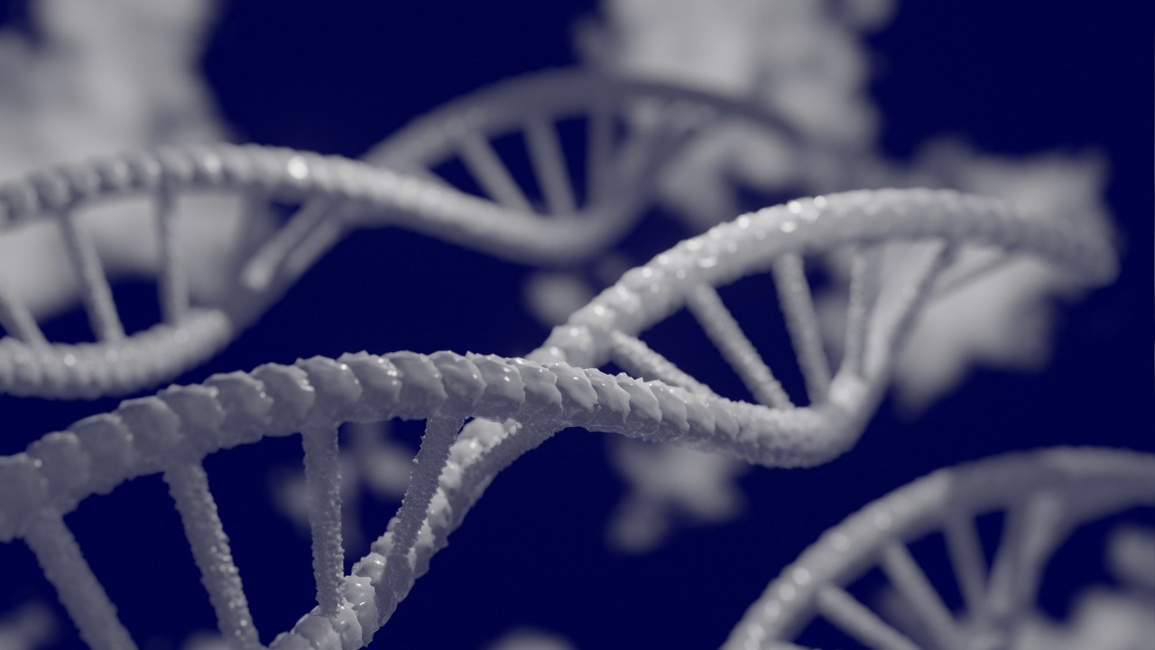 Учени настояват за разрешение да отглеждат по-дълго човешки ембриони