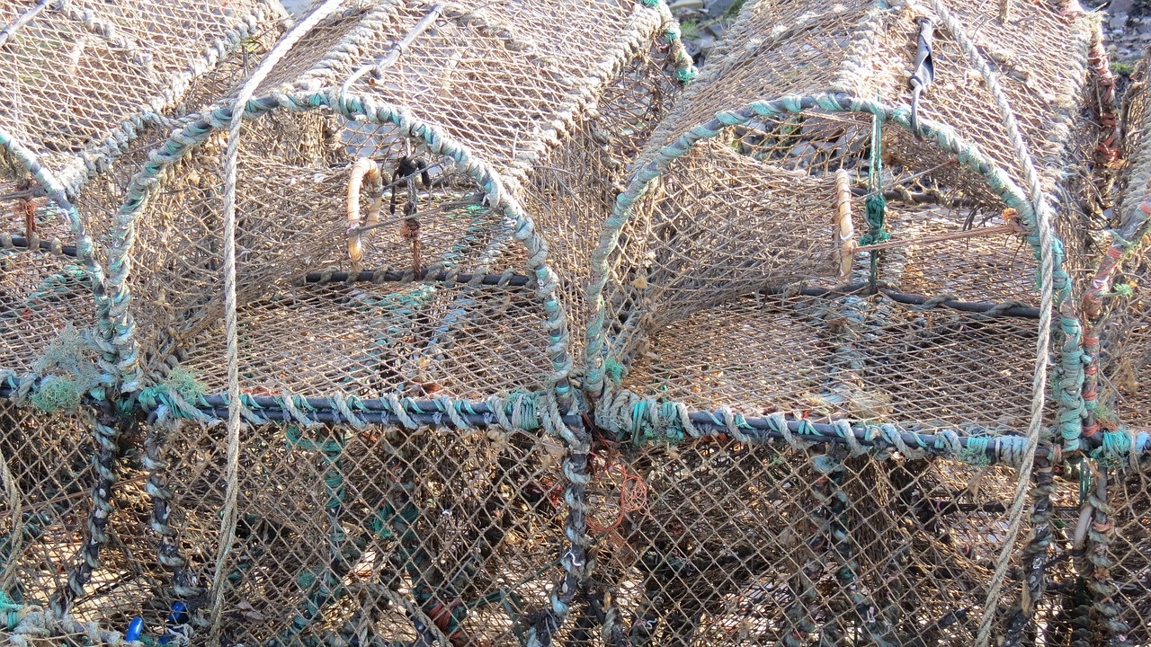 Винтери за улов за раци са извадени от водите на язовир "Съединение" 