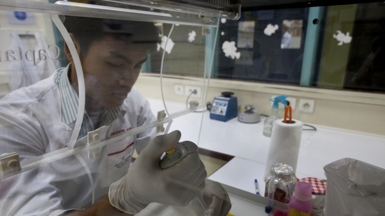 СЗО: Китай изкорени маларията