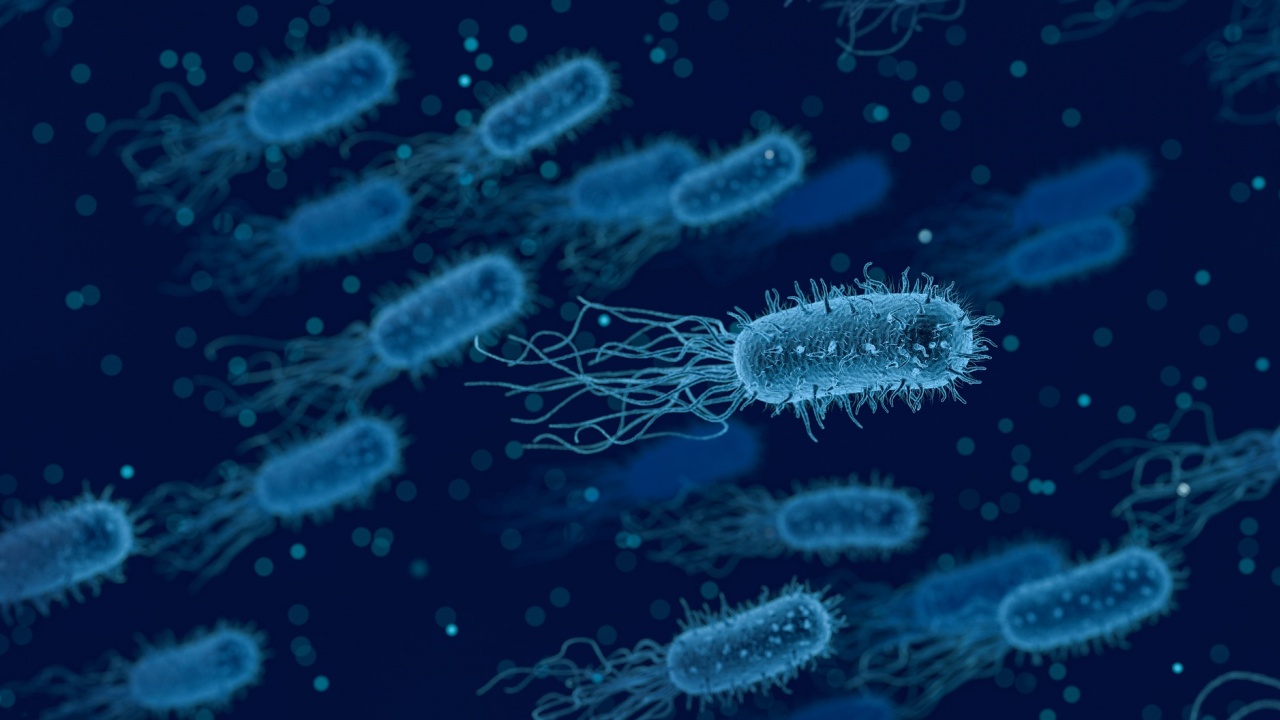 Чревните бактерии се определят от гените