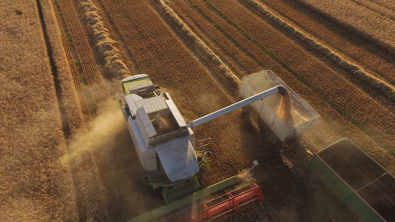 Зърнената реколта в Добричка област е прибрана в повече от половината масиви при среден добив 606 килограма