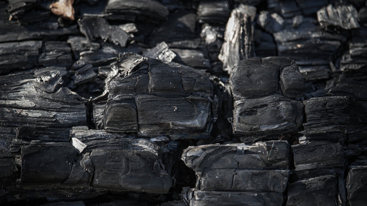 Повече от 20 държави поеха ангажименти за постепенно отказване от въглищата