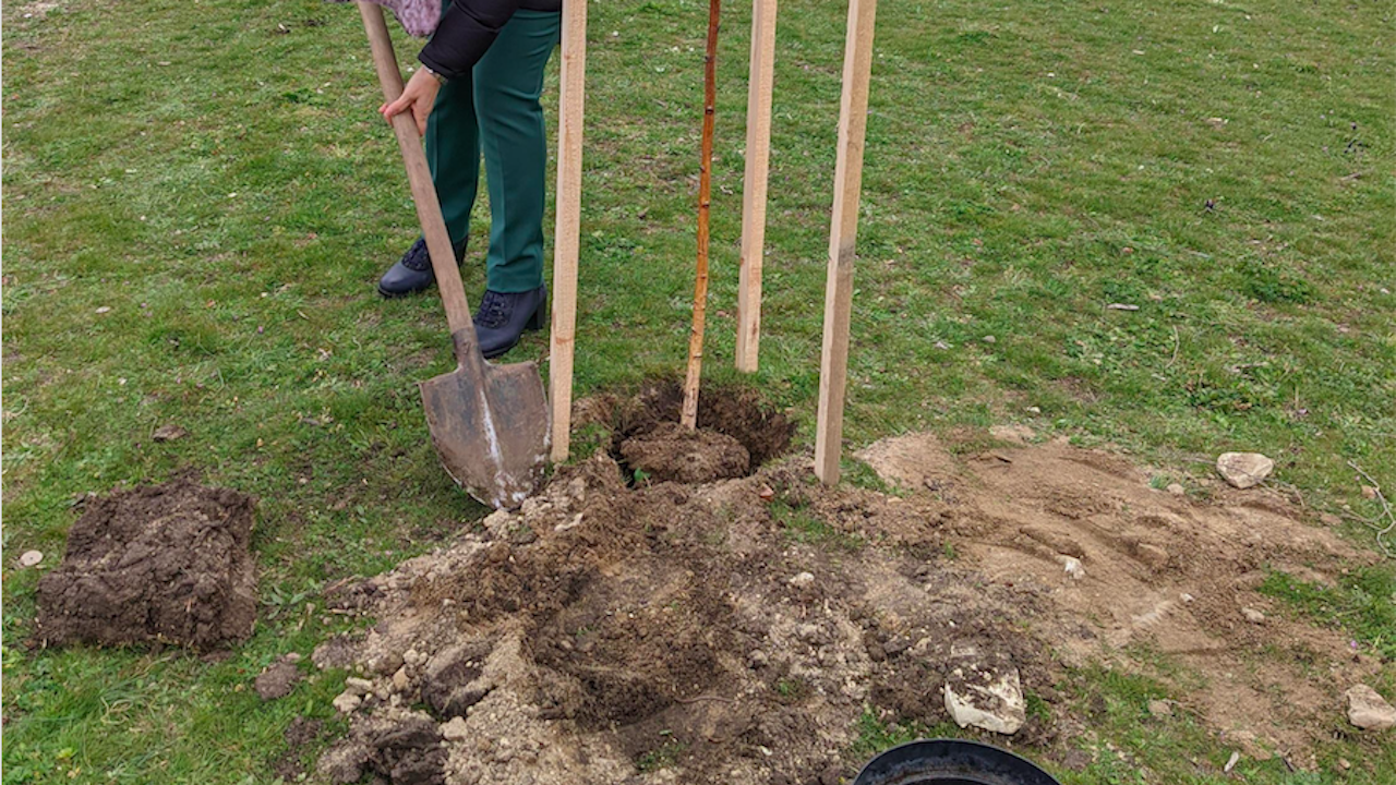Доброволци ще засадят дръвчета край сливенското село Камен