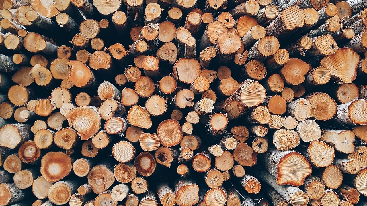 Близо 40 кубика дърва за огрев без документи са установили полицаи в Котленско
