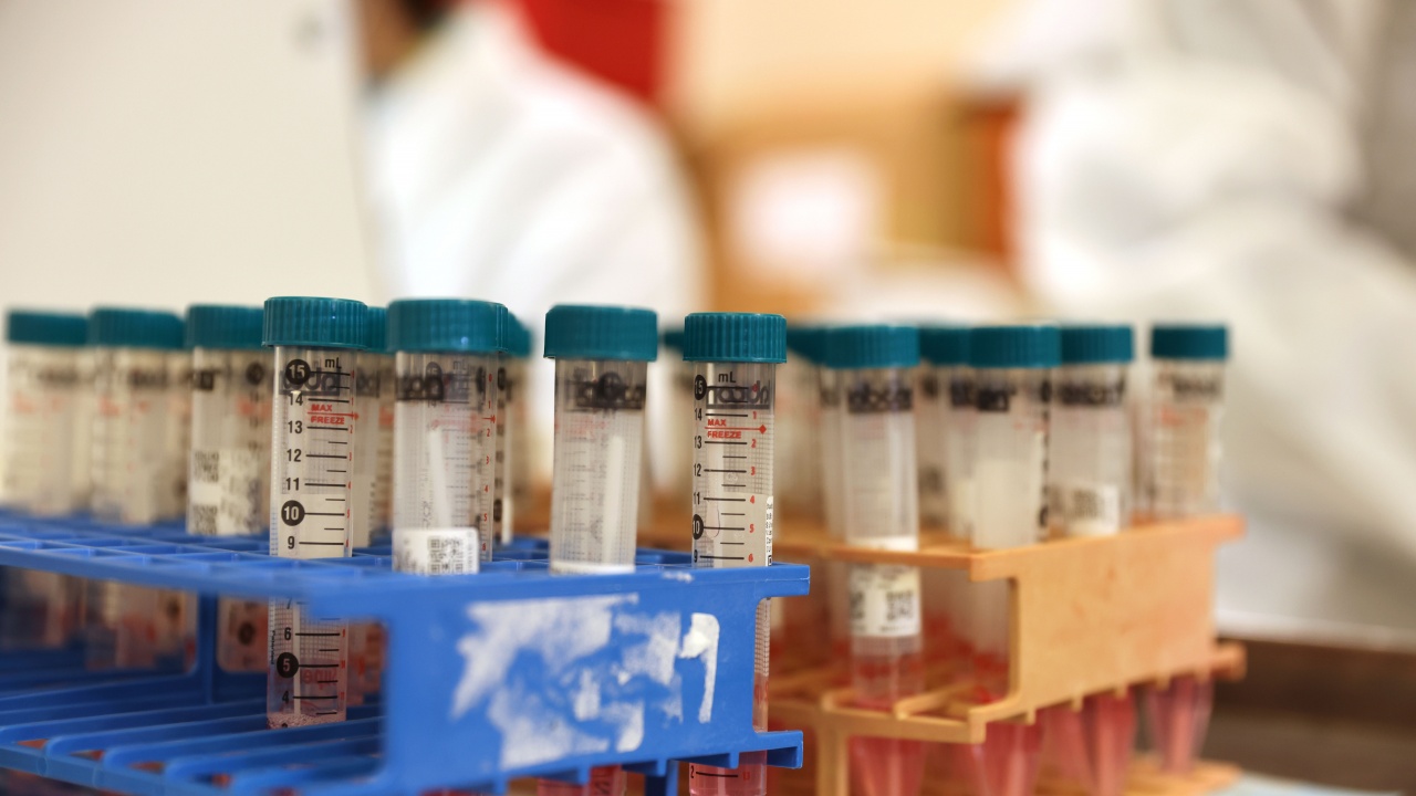 2105 новозаразени с коронавирус у нас -  7,5% от тестваните