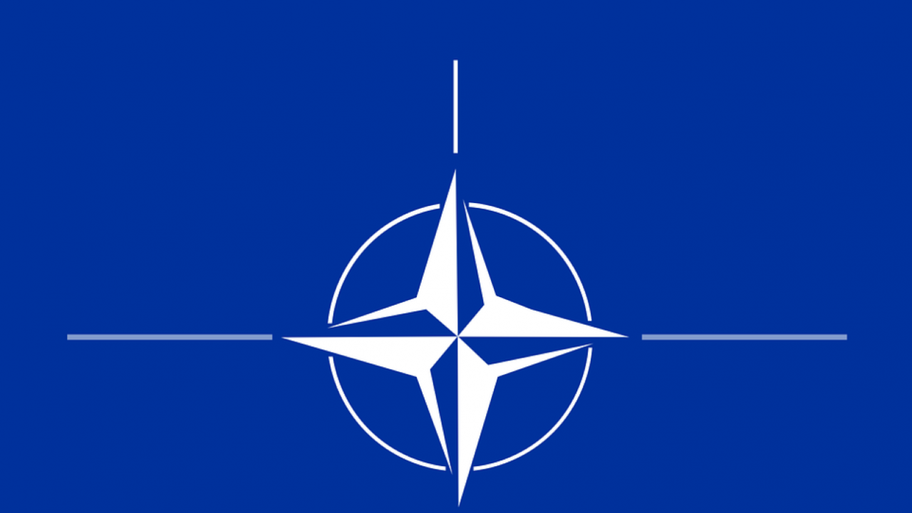 Проф. Татяна Дронзина: България отново пропусна всичките си шансове да се държи като НАТО*