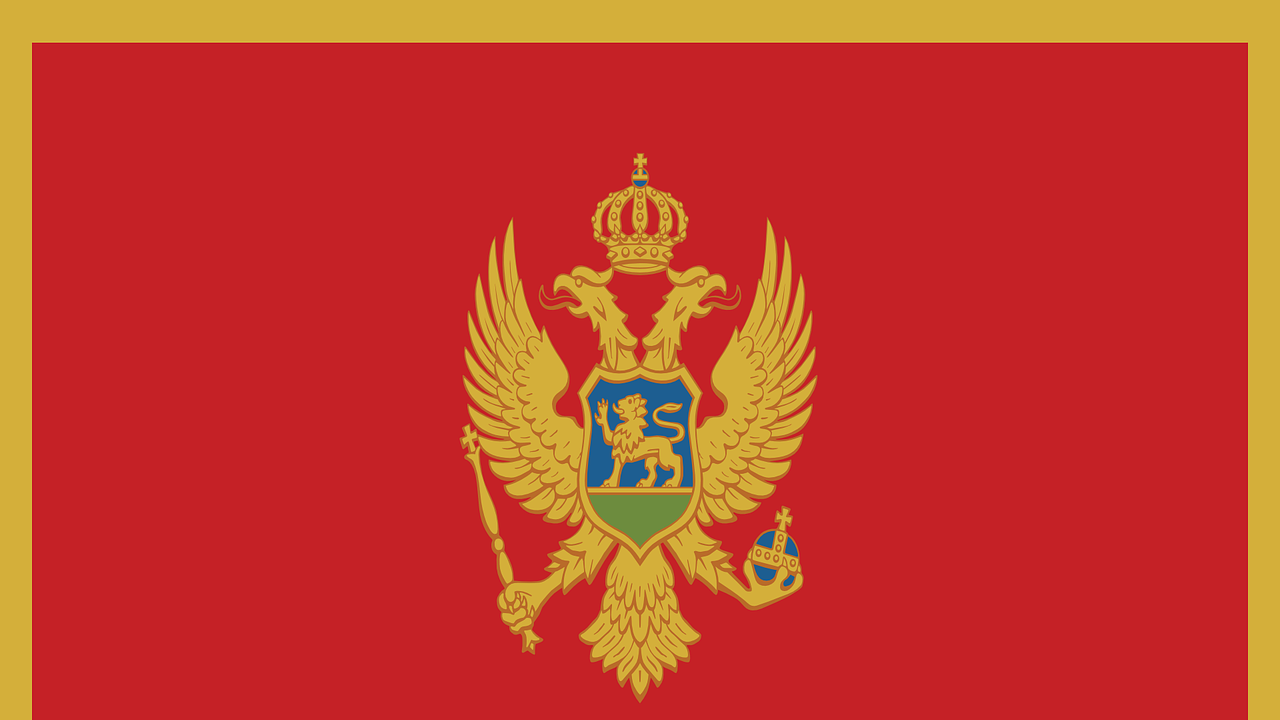 Черна гора осъди действията на Русия и оттегли посланика си от Украйна