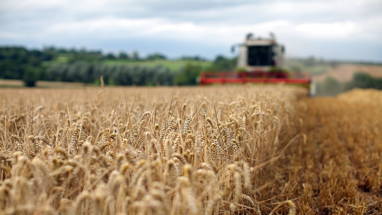 Албания преговаря със Сърбия за внос на пшеница