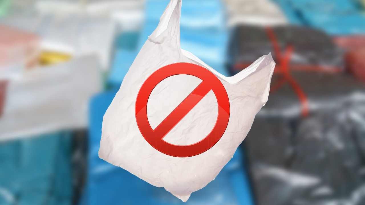 Абу Даби забранява еднократните найлонови торбички