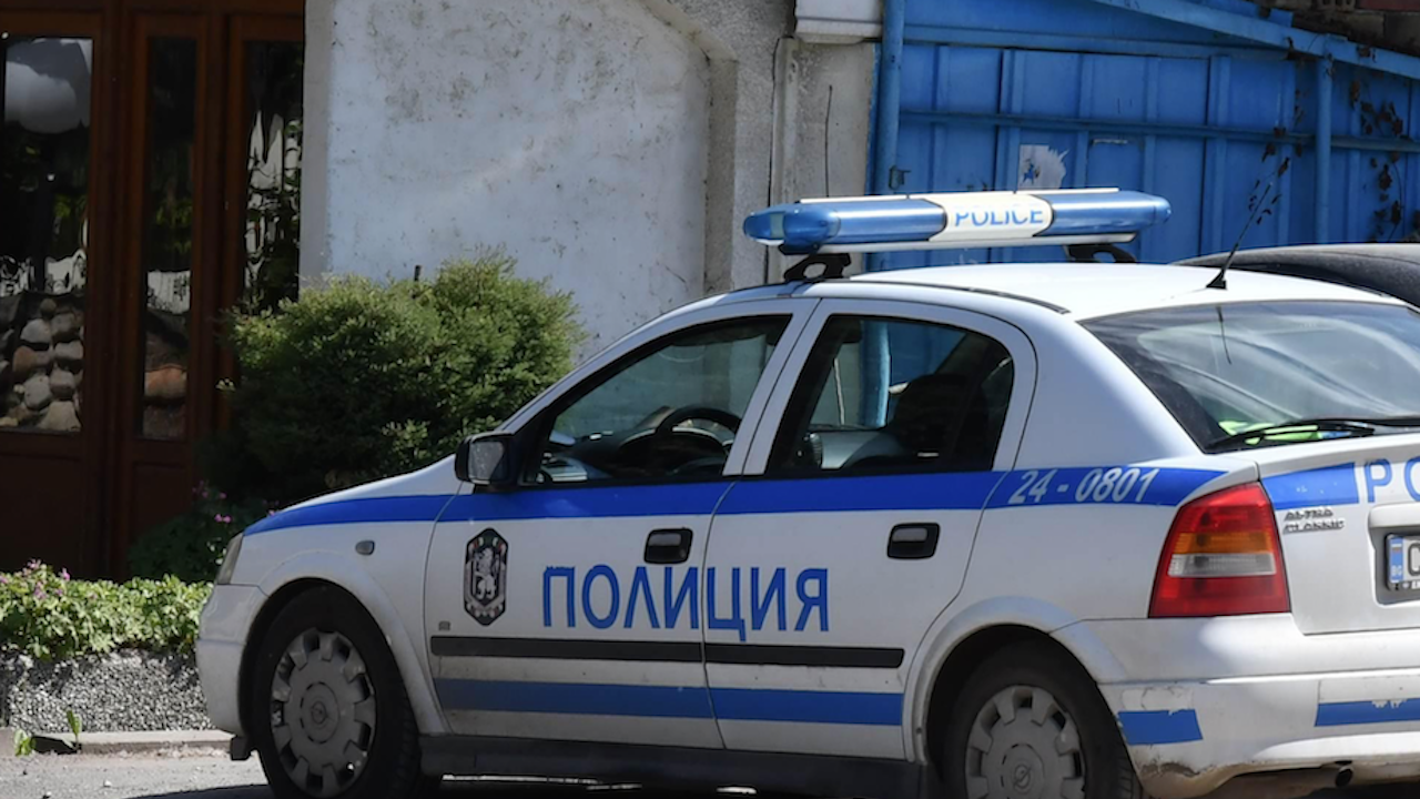 Кон прегази полицейски автомобил в Раковски