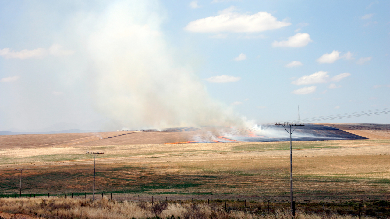 Пожар унищожи 600 декара пшеница в община Тервел