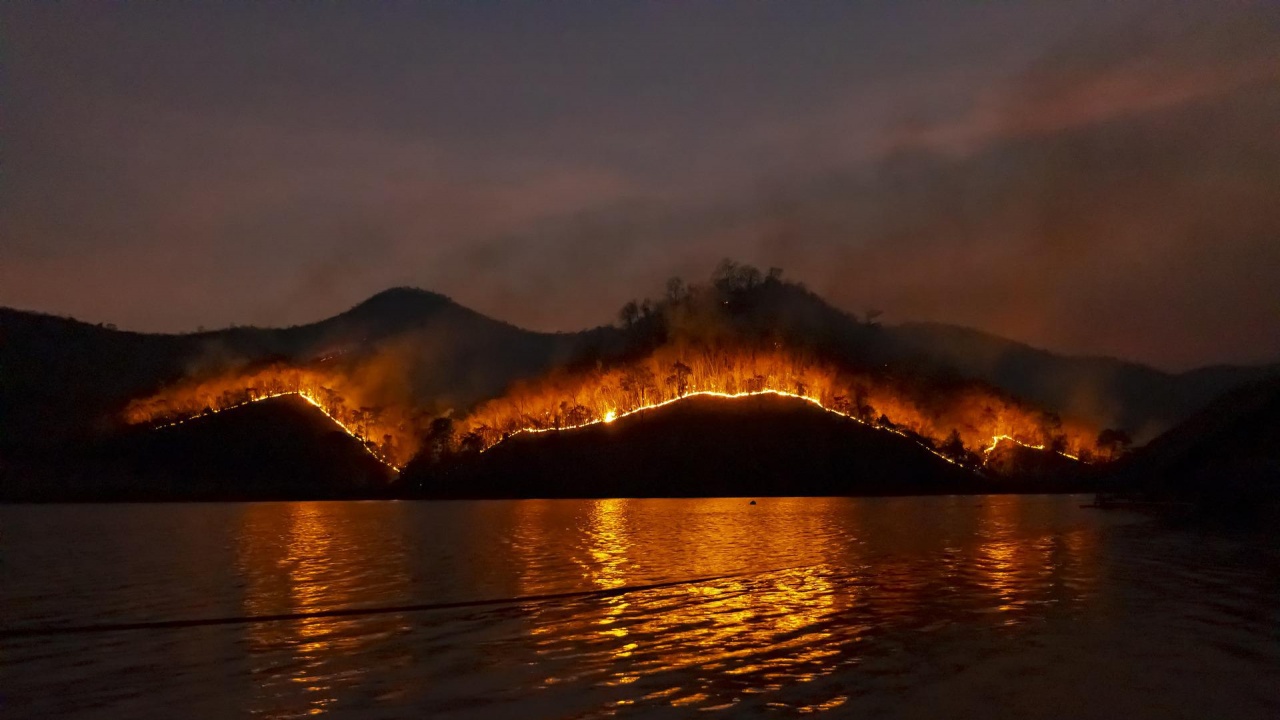 45 хектари гори са изгорели при пожар на хърватския полуостров Истрия