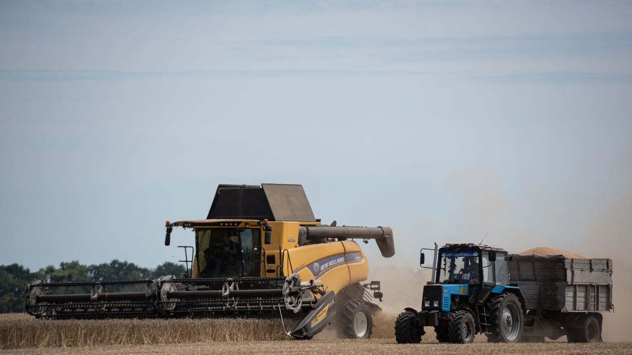 Зърнопроизводителите в Добричка област прибраха 778 775 тона пшеница