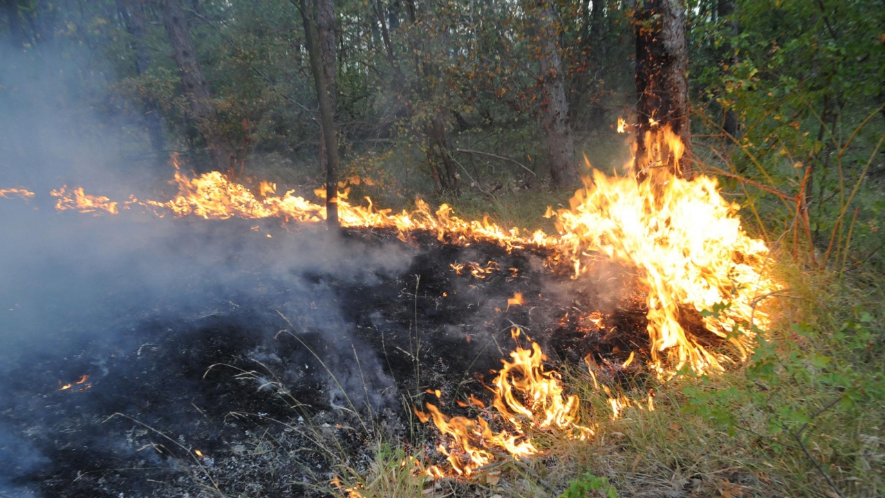 Четвърти ден продължава борбата с пожара в Елховско
