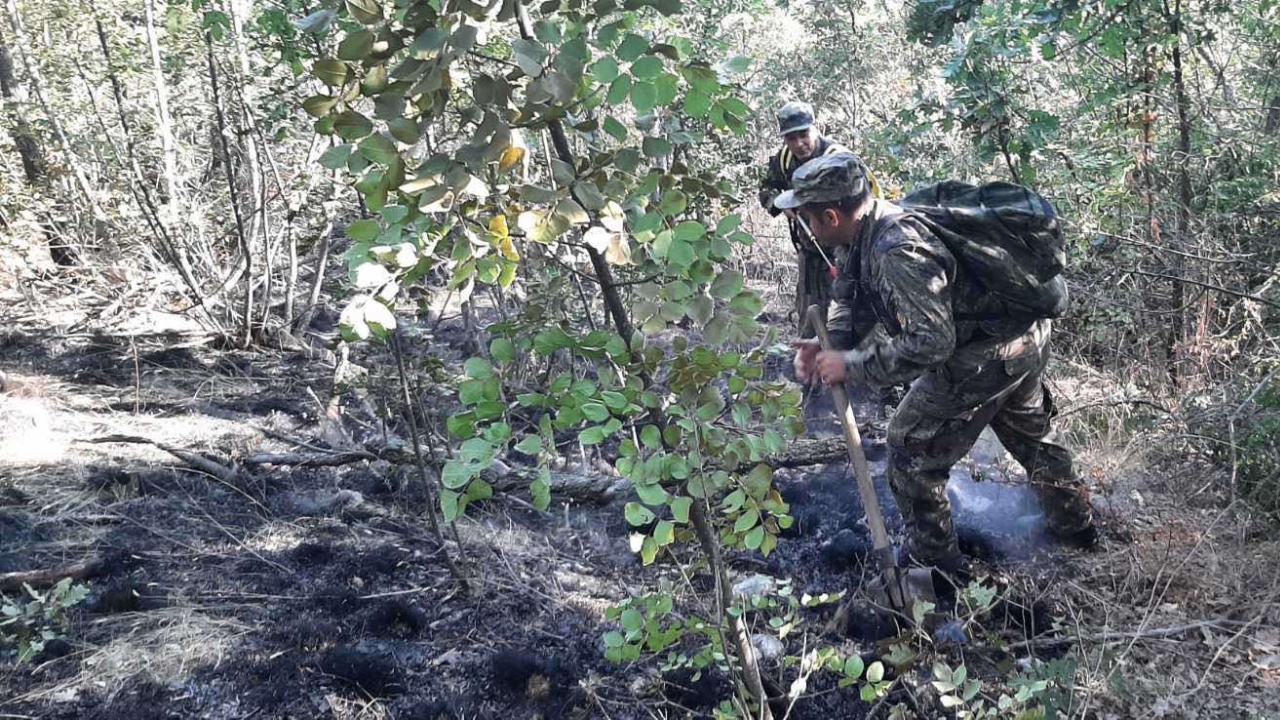 Военнослужещи от Сухопътните войски оказват помощ при гасенето на пожар в село Изворово