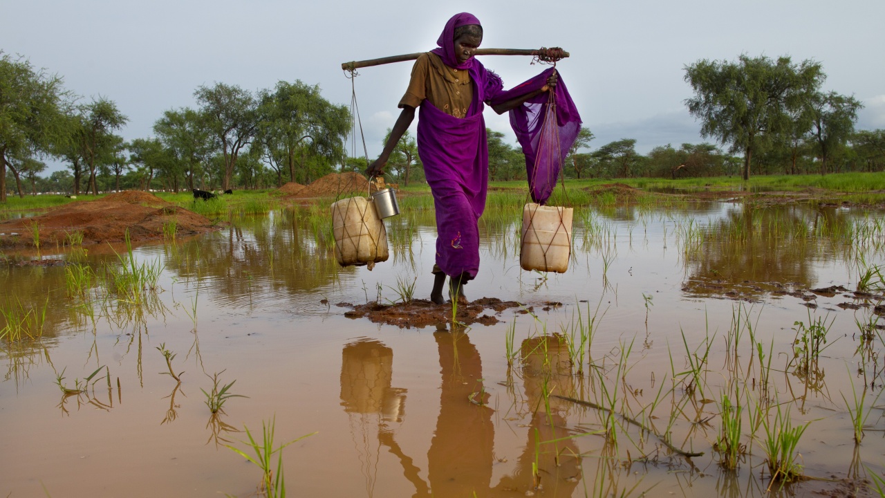 Продължава да расте броят на жертвите на сезонните валежи и наводнения в Судан