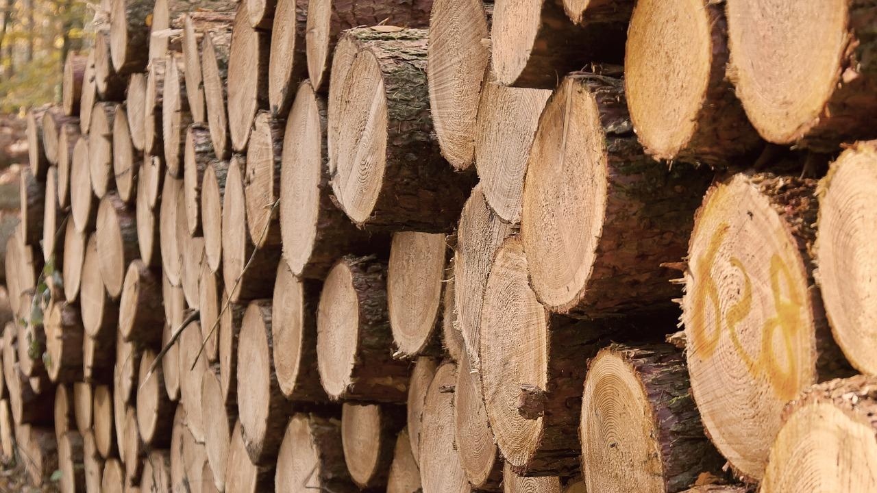 Осигурени са дърва за огрев за населението на община Павел баня