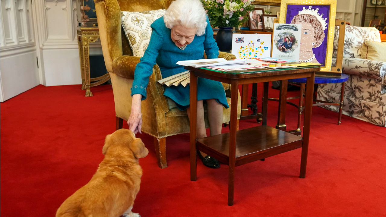 Принц Андрю и бившата му съпруга ще се грижат за любимите кучета на покойната кралица Елизабет Втора