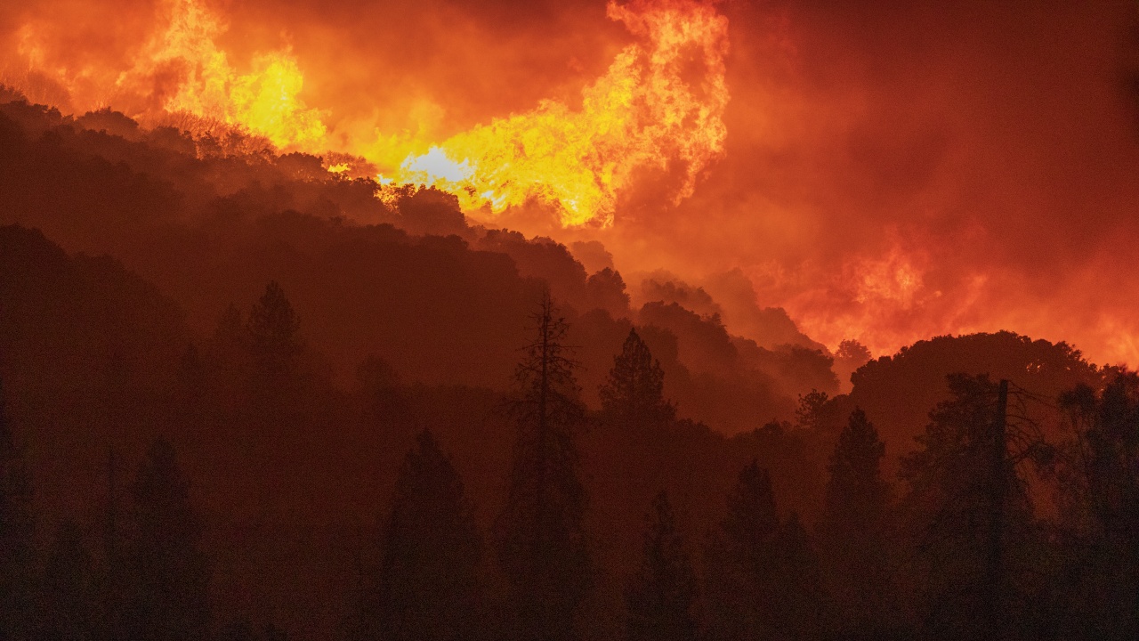 Необичайни за сезона горещини предизвикаха десетки горски пожари в Испания