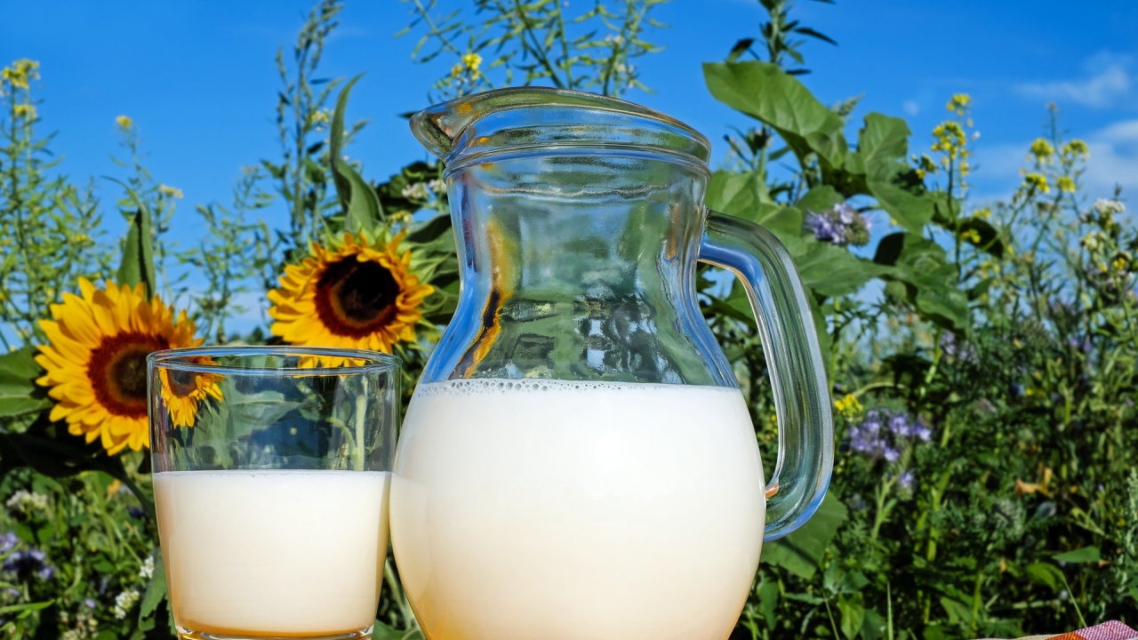 Млекопреработвател: България може да остане без мляко