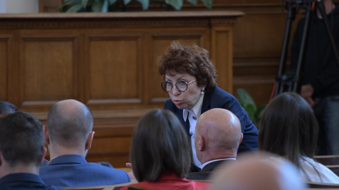 Рена Стефанова: Подкрепа за кабинет съвместно с ГЕРБ не бихме търсили