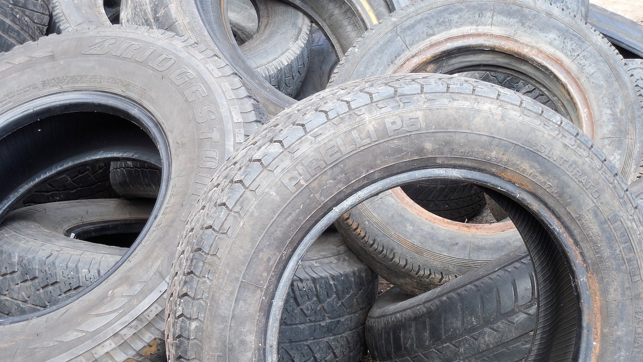 Автомобилни гуми са изхвърлени в резервата "Атанасовско езеро"