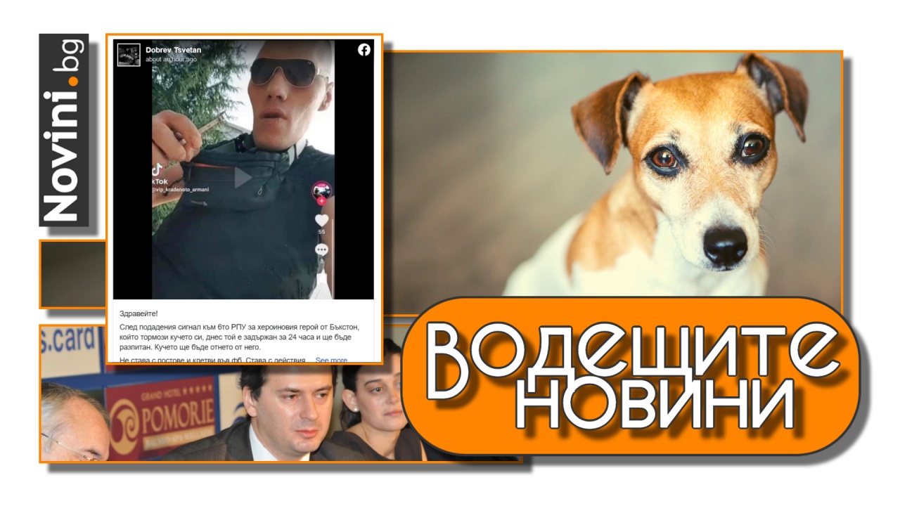 Водещите новини! Ръст на насилието над животни, още един задържан. МВР е пратило запитване до Москва защо издирва Христо Грозев (и още…)
