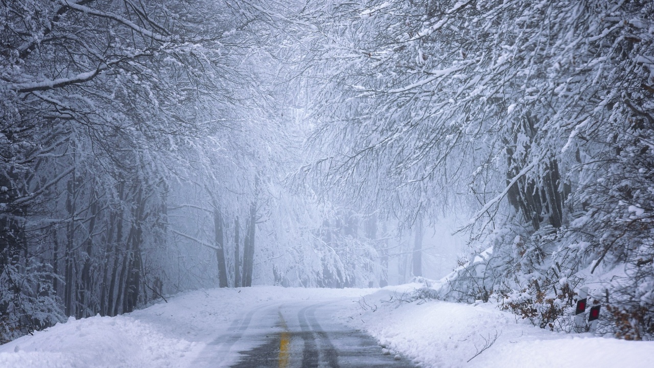 Снегозащитни прегради са монтирани на най-критичните за навявания пътища в Ямболско
