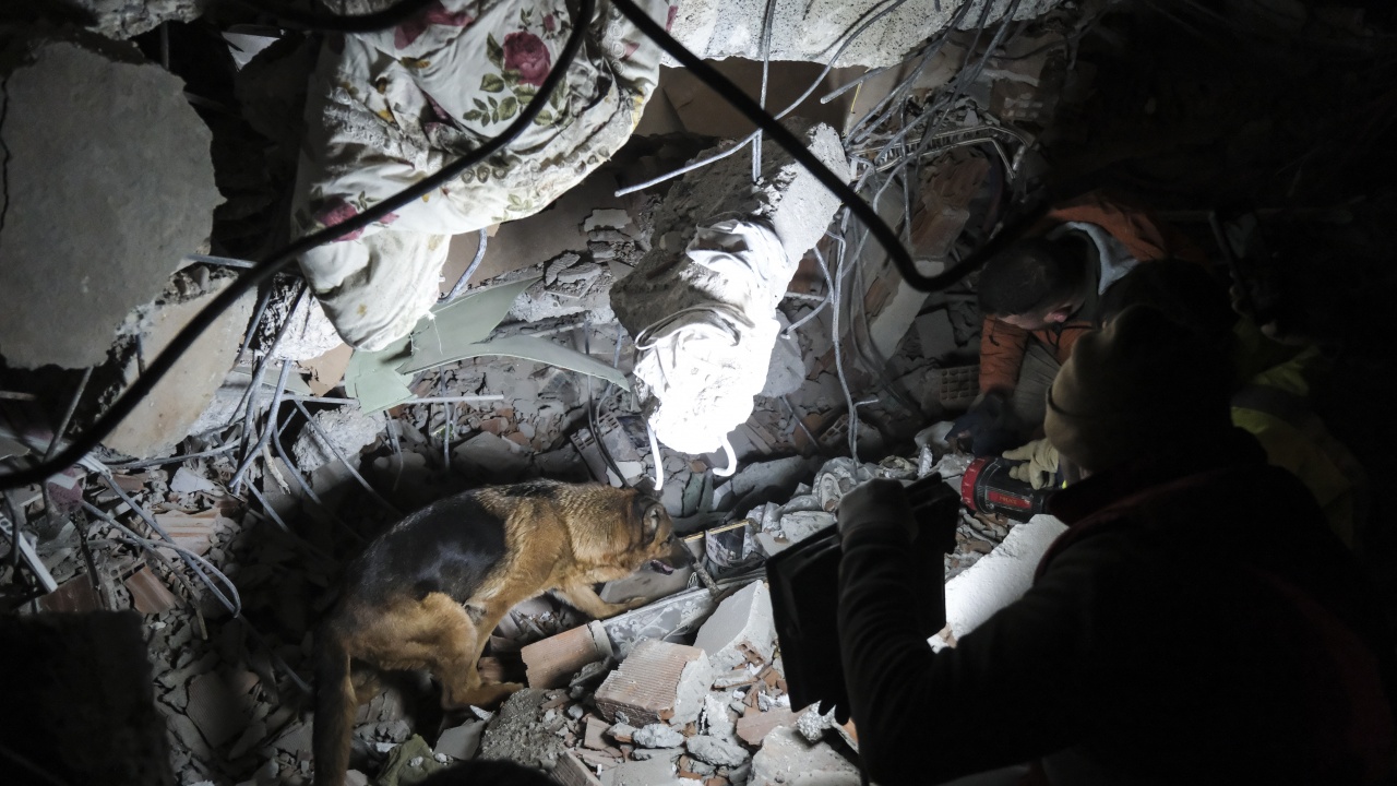 Куче спасител загина при опит да спаси хора от отломките в Турция
