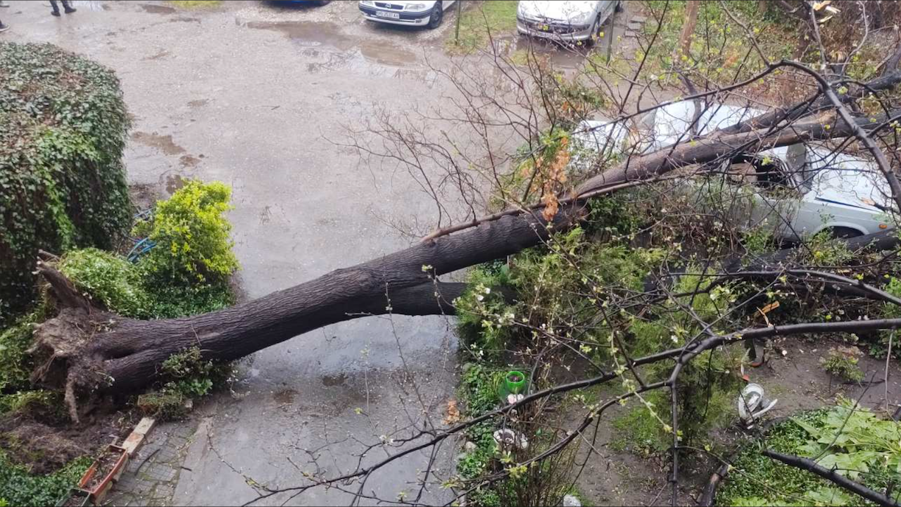 Сериозни поражения нанесе бурята в Пловдив