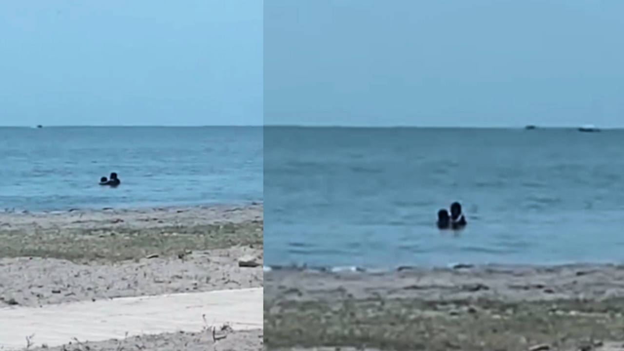 Заснеха двойка в морето в момент, когато жената извършва неприлични движения